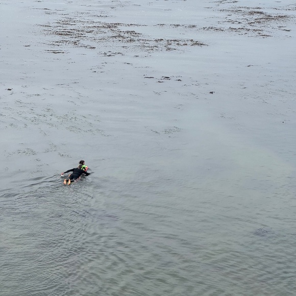 Meet your Posher, Kirin - Picture 1 of 1